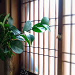 bathroom5
