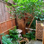 front_garden1