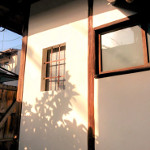 front_garden3