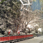 kyoto1