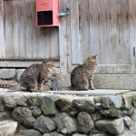 kyoto44