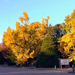 botanical_garden2