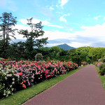 botanical_garden3