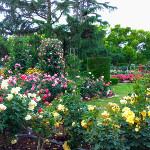 botanical_garden4