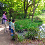 botanical_garden5