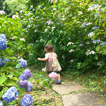botanical_garden6