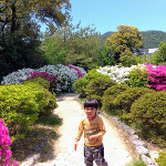 funaokayama3