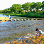 kamo_river1