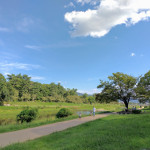 kamo_river3